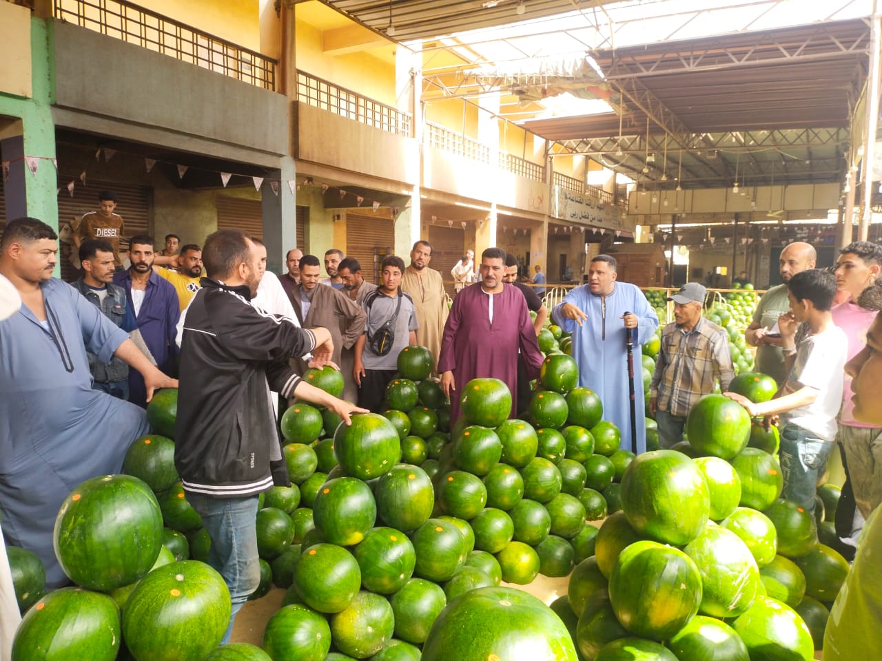 البطيخ الجيزة البطيخ الجيزة