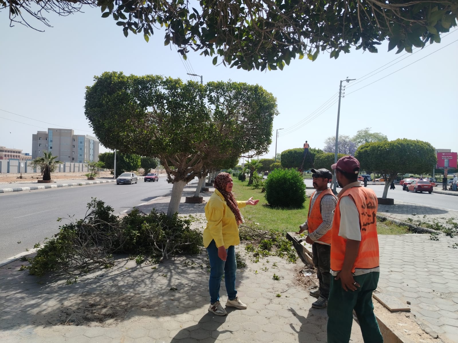 رفع كفاءة المسطحات الخضراء رفع كفاءة المسطحات الخضراء
