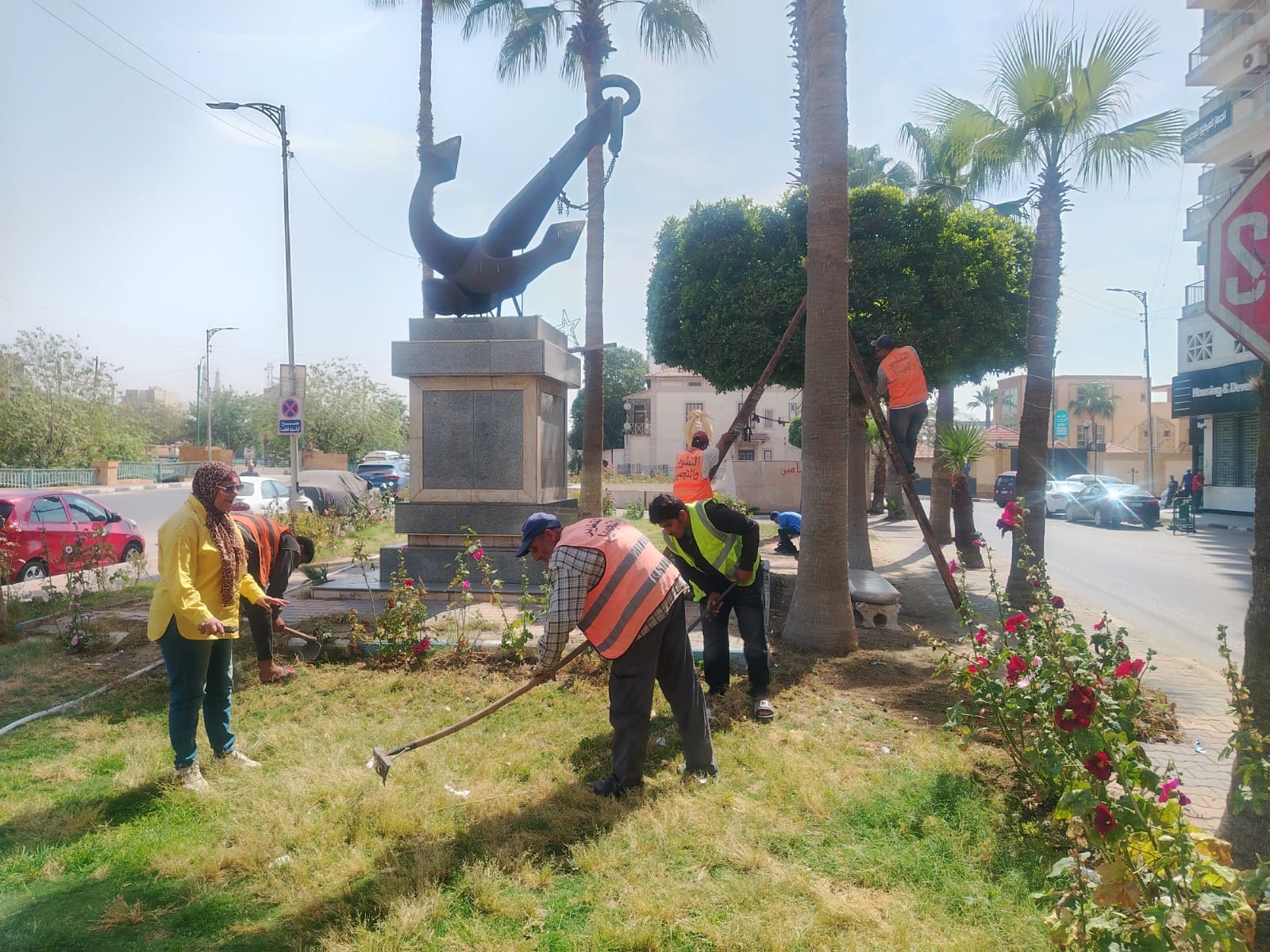 نظافة النجيل نظافة النجيل