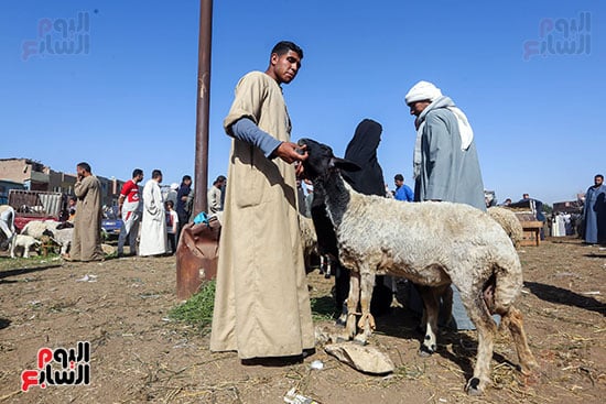 انتظار البيع