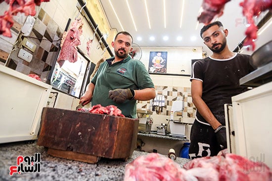 الفشة البلدى