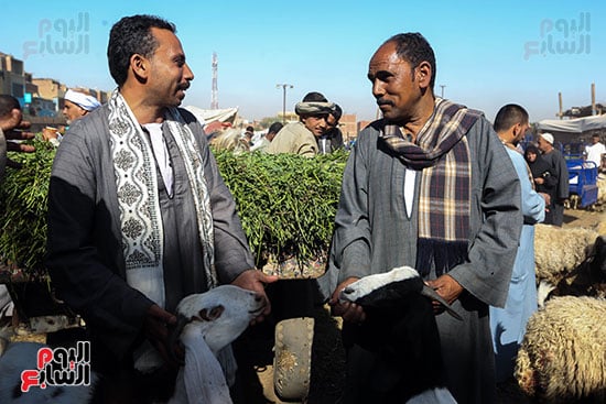 سوق مزغونة بالبدرشين