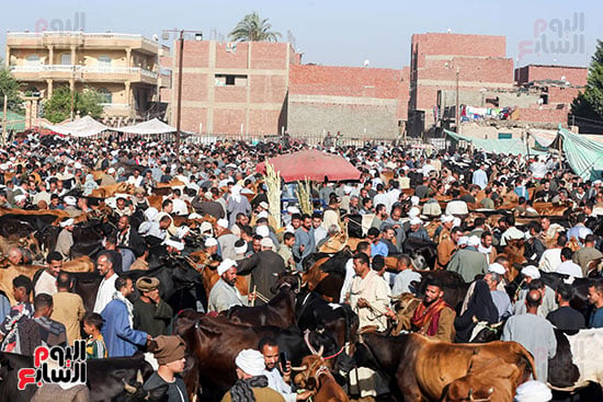 زحام الاضاخى 2 (5)