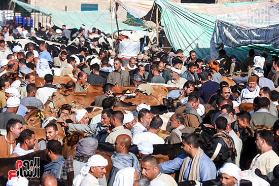 زحام الاضاخى 2 (6)