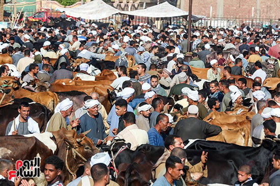 زحام الاضاخى 2 (9)