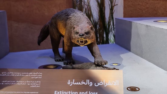 جولة في متحف التاريخ الطبيعي بأبوظبي (9)
