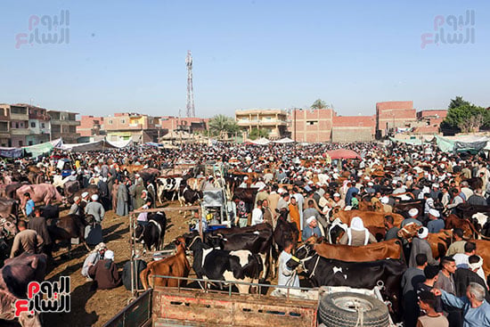 زحام الاضاخى 2 (2)