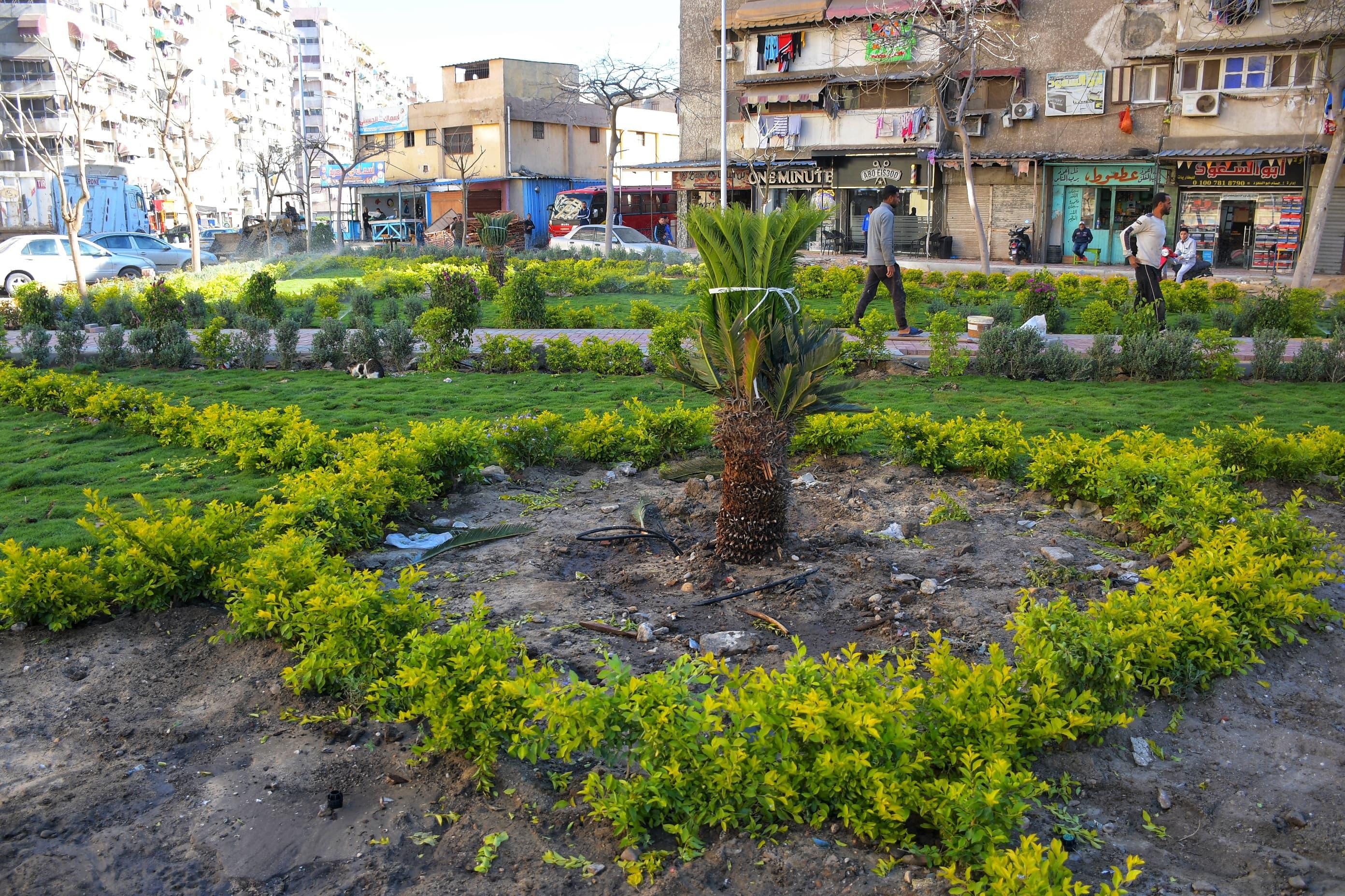 مسطح اخضر مسطح اخضر