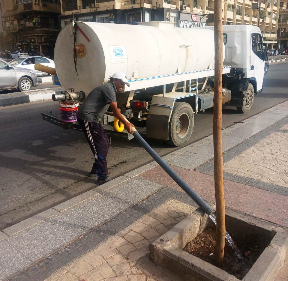 رى الأشجار رى الأشجار