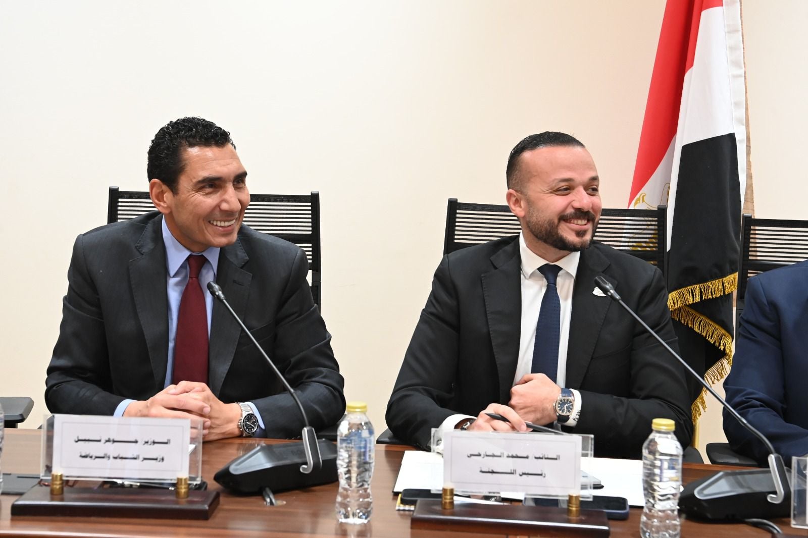 لجنة المشروعات المتوسطة والصغيرة ومتناهية الصغر بمجلس النواب (1)
