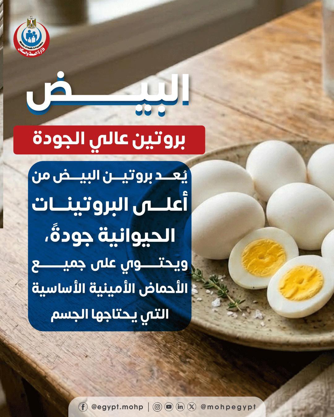 البيض