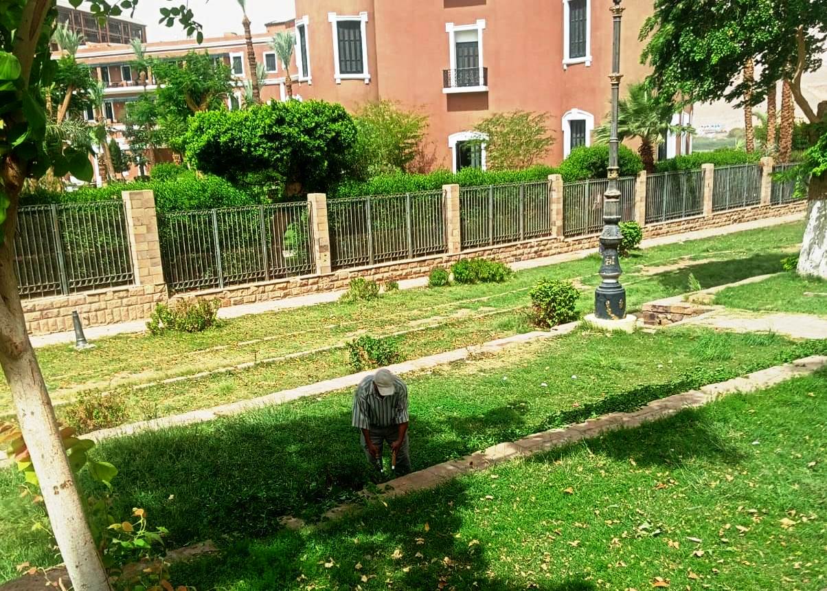 تهذيب المساحات الخضراء
