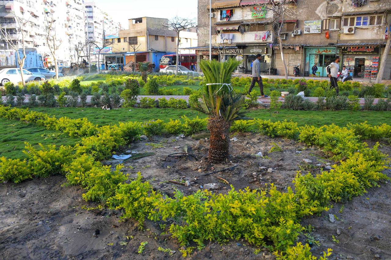 المساحات الخضراء بالامل المساحات الخضراء بالامل