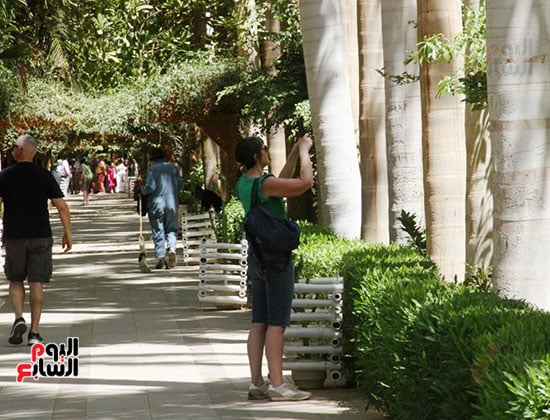 السياح
