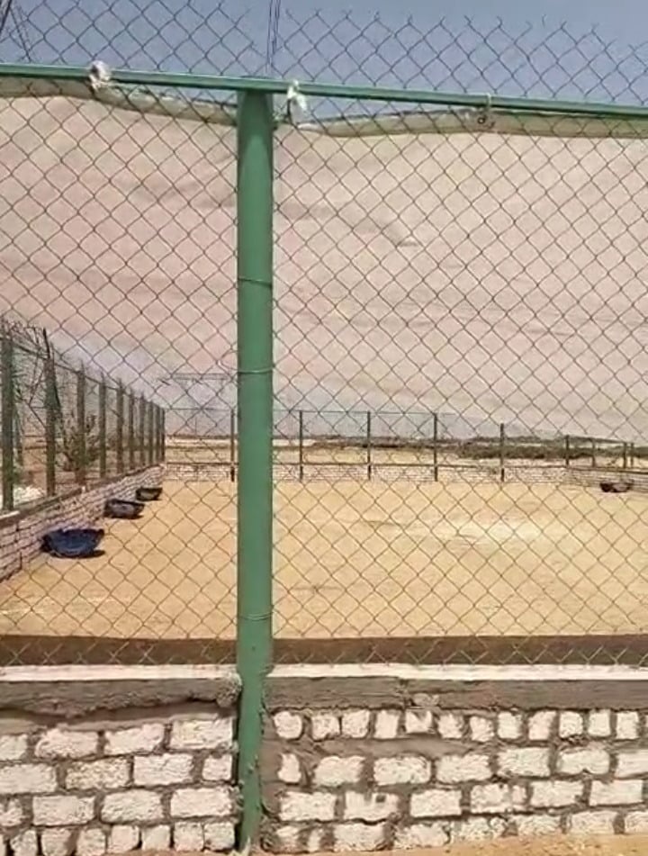شلتر الكلاب شلتر الكلاب