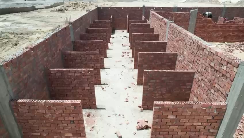 إنشاء أول مأوى علمي للكلاب الضالة بالتبين (3)