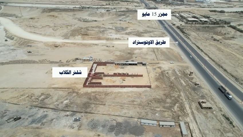إنشاء أول مأوى علمي للكلاب الضالة بالتبين (2)