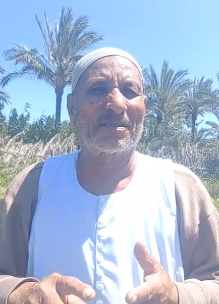 مزارع البطيخ ببلطيم انواع