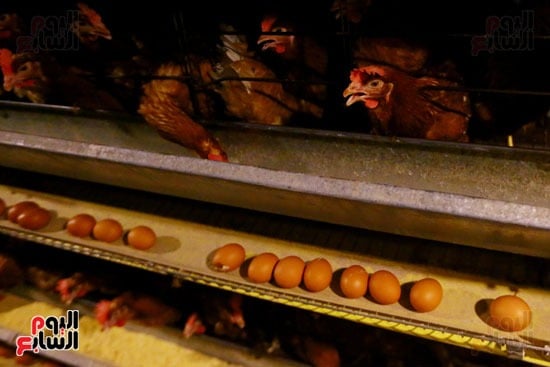WhatsApp Image 2026-05-23 at 2.59.13 PM