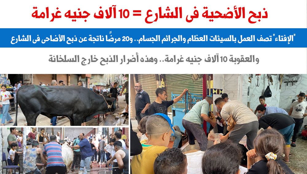 ذبح فى الشارع
