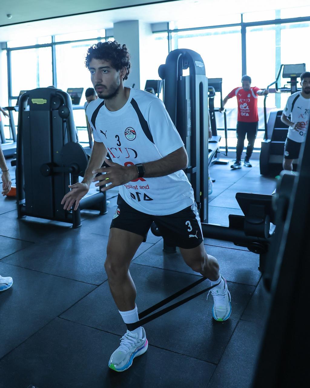 محمد هانى