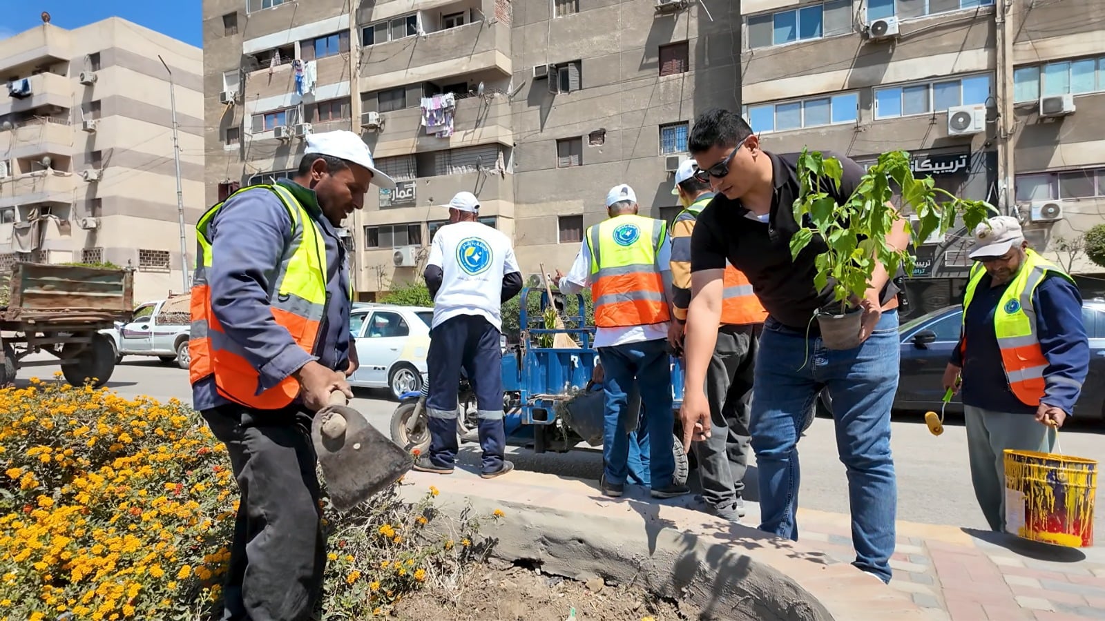 زراعة الاشجار في مبادرة جميلة يابلدي