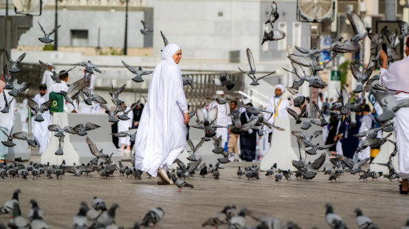 الحجاج وسط الحمام