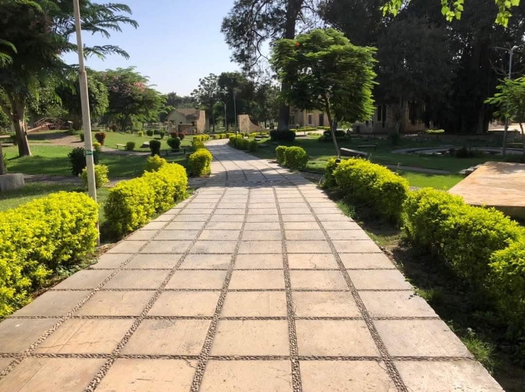 الممشى داخل الحدائق الممشى داخل الحدائق