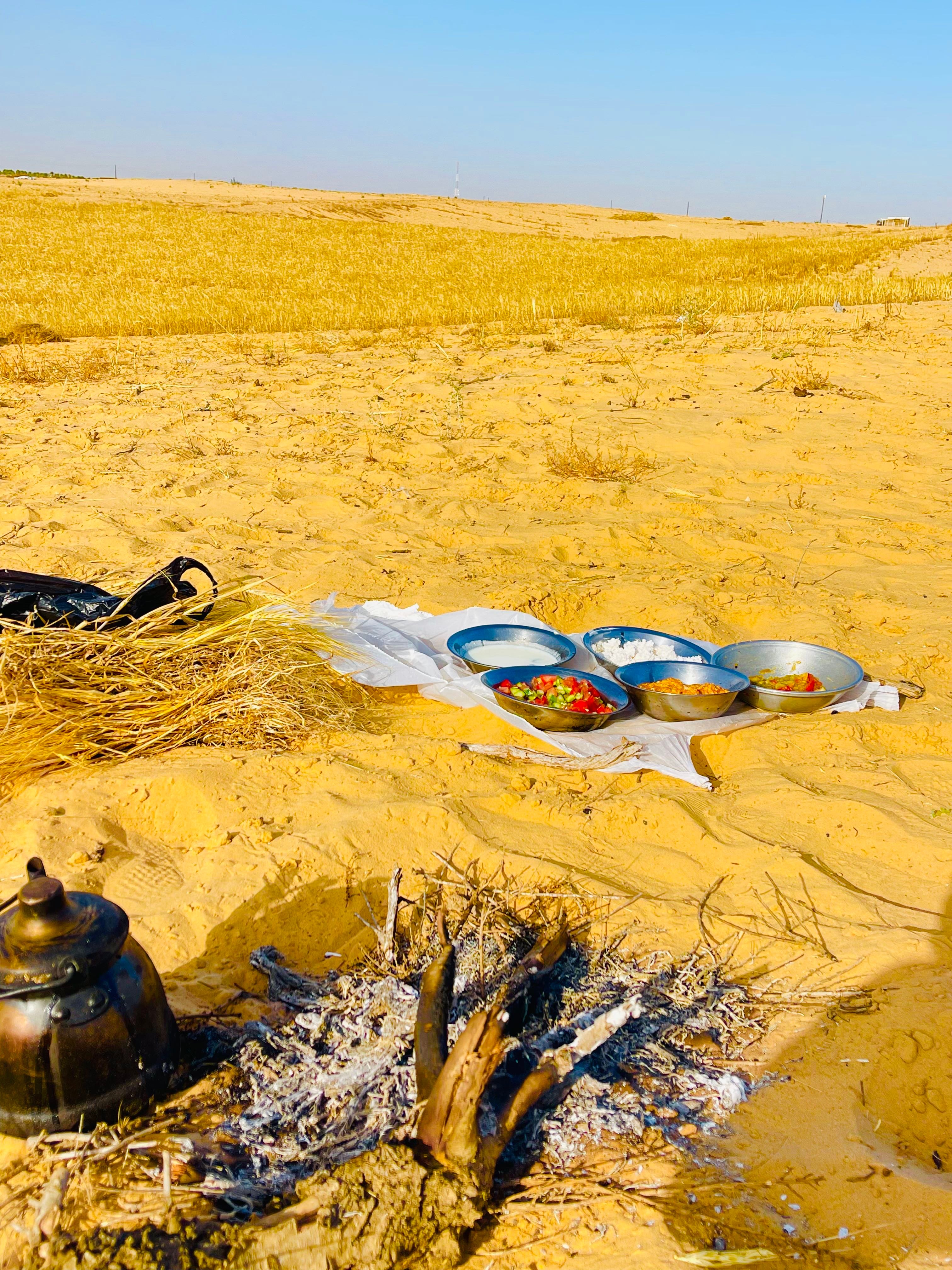 إفطار اثناء الحصاد مع براد شاي 
