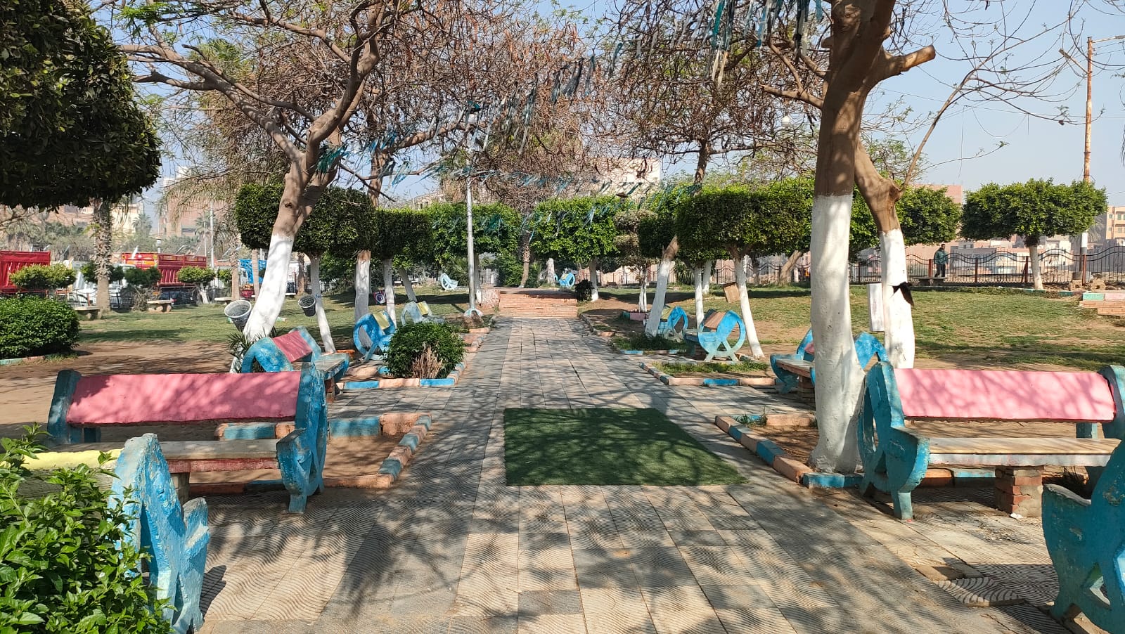 الحديقة من الداخل.