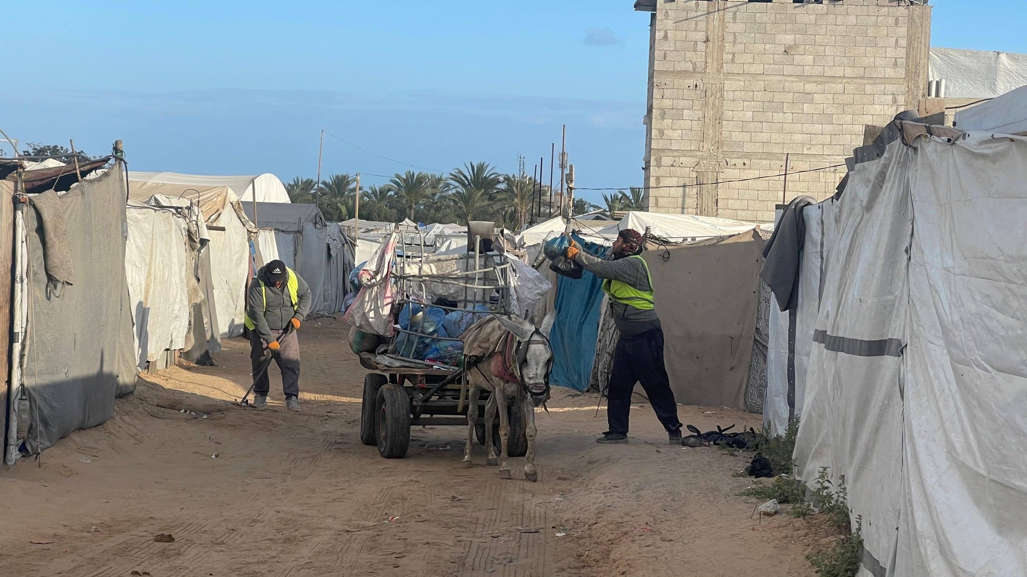 مخيمات النزوح في بلدية رفح الفلسطينية