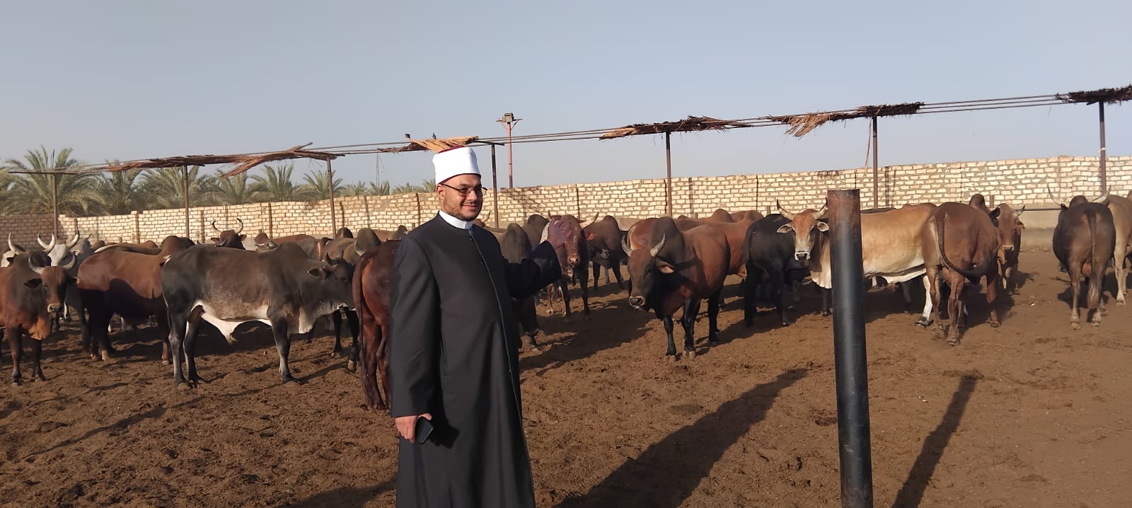 الأوقاف تتابع تجهيز الأضاحي بمجازر أبو سمبل الأوقاف تتابع تجهيز الأضاحي بمجازر أبو سمبل