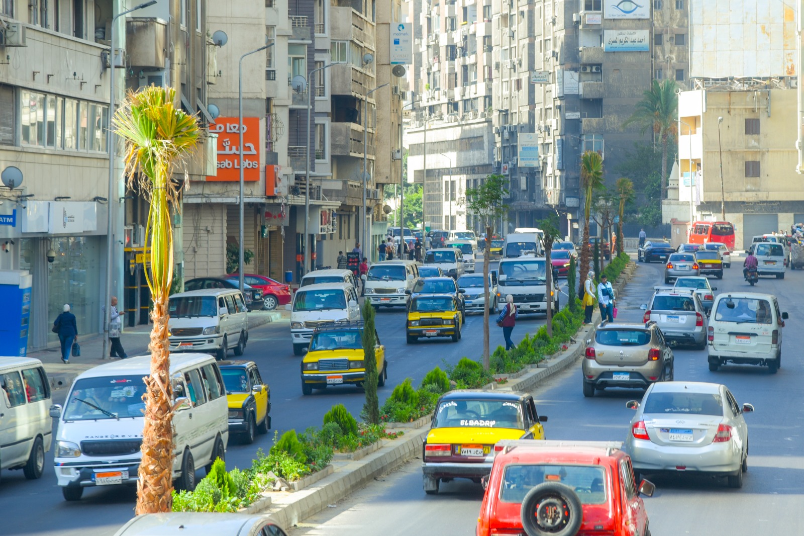 تنسيق المسطحات الخضراء تنسيق المسطحات الخضراء