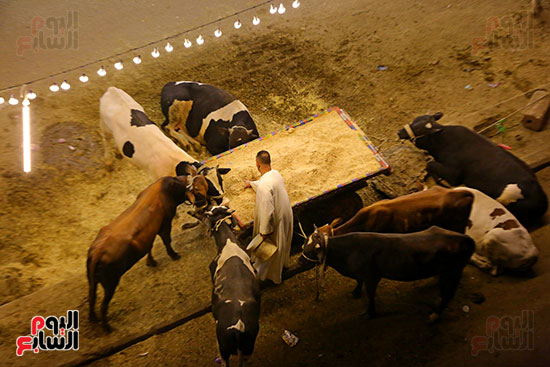 العيد موسم الخير العيد موسم الخير