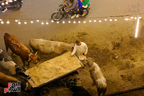 شوادر البيع عنوان العيد شوادر البيع عنوان العيد