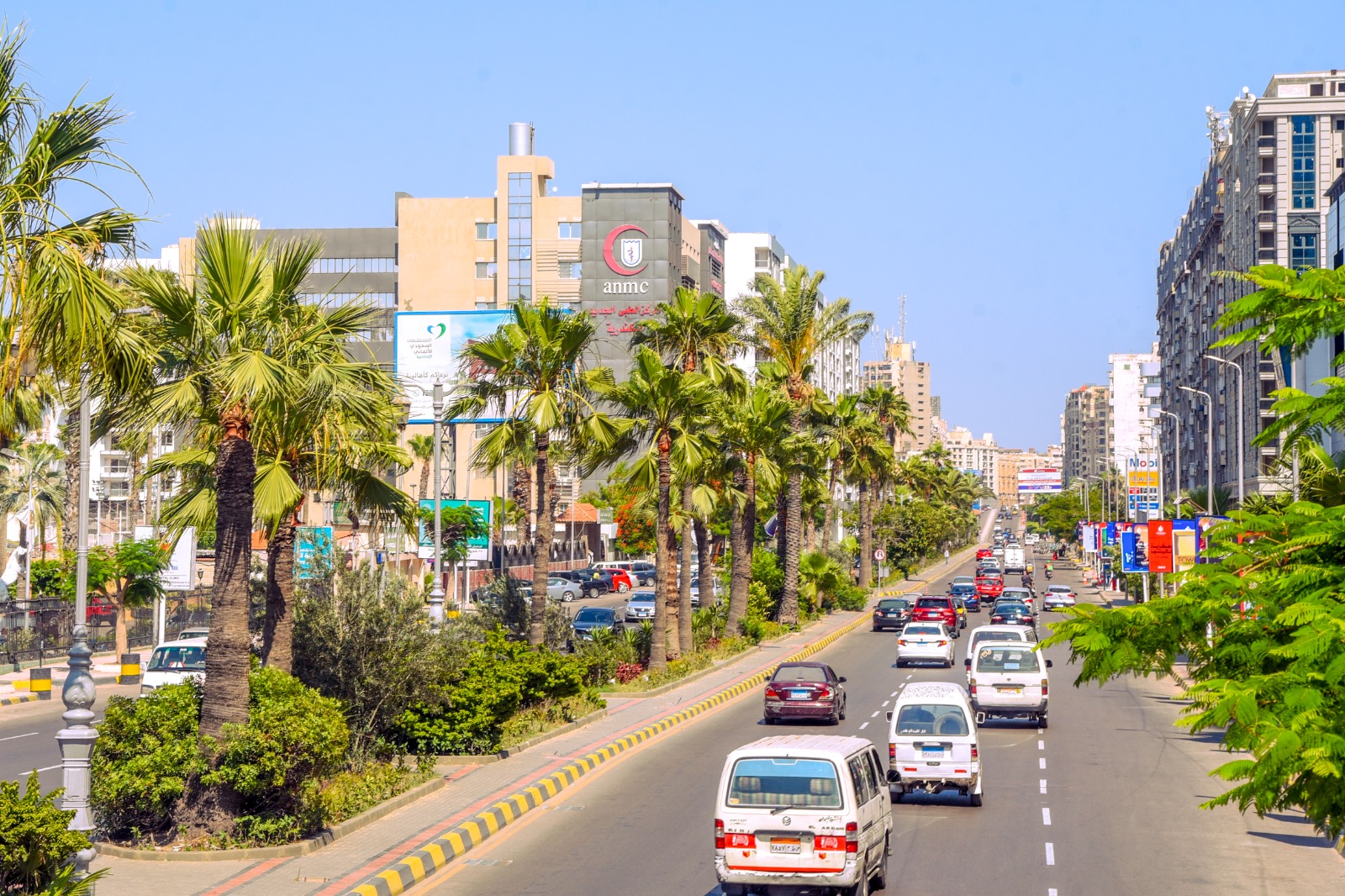 تقليم الاشجار تقليم الاشجار