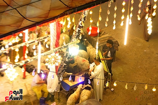 العيد فرحة ما تتوصفش العيد فرحة ما تتوصفش
