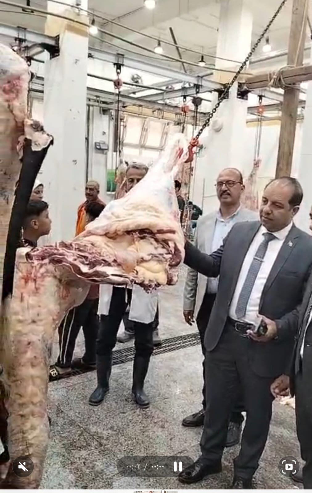 استمرار العمل بالمجازر الحكومية بالدقهلية  (3)