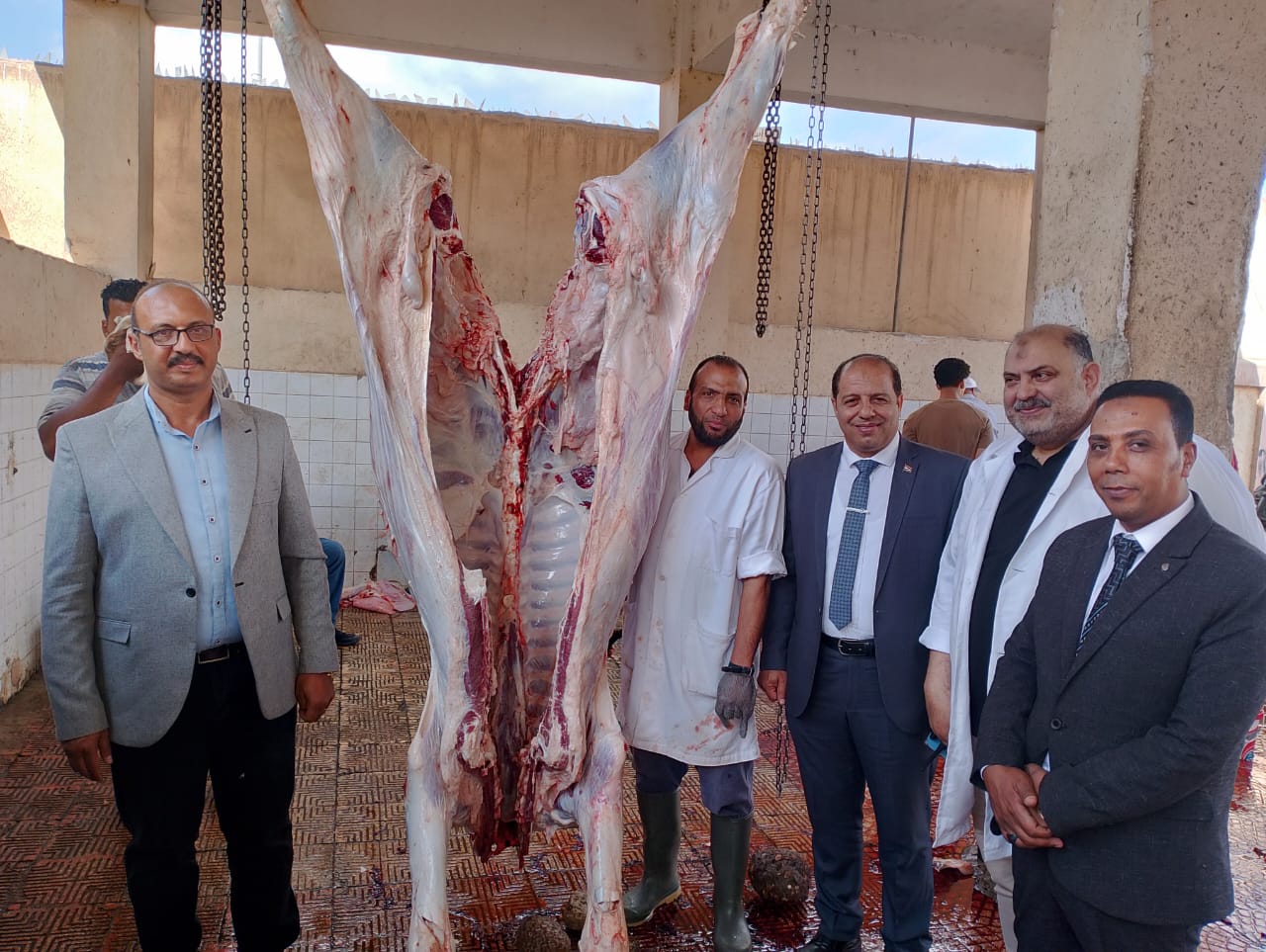 استمرار العمل بالمجازر الحكومية بالدقهلية  (2)