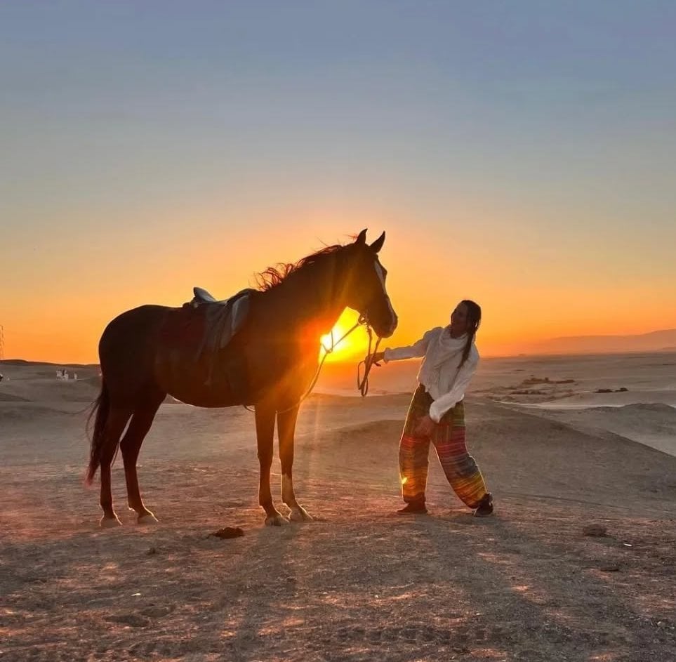 لهو أجنبية من الخيول لحظات شروق الشمس بالبر الغربى