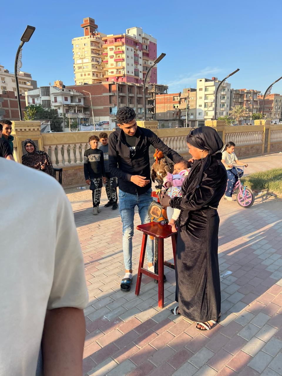 التقاط صور تذكارية مع الصقر التقاط صور تذكارية مع الصقر