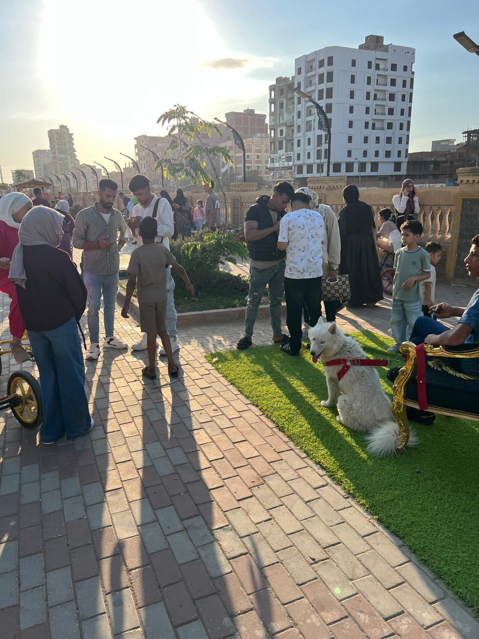جانب من التقاط الصور التذكارية جانب من التقاط الصور التذكارية