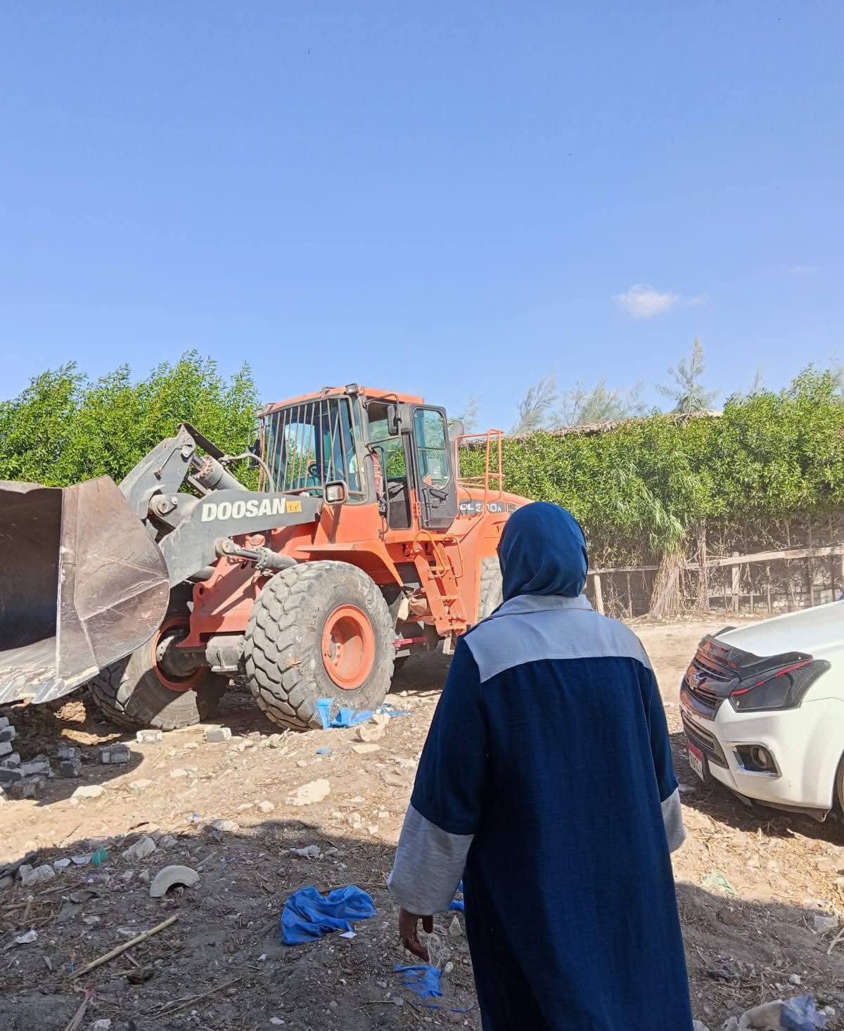 حملات إزالة تعديات الأراضي الزراعية بالإسكندرية حملات إزالة تعديات الأراضي الزراعية بالإسكندرية