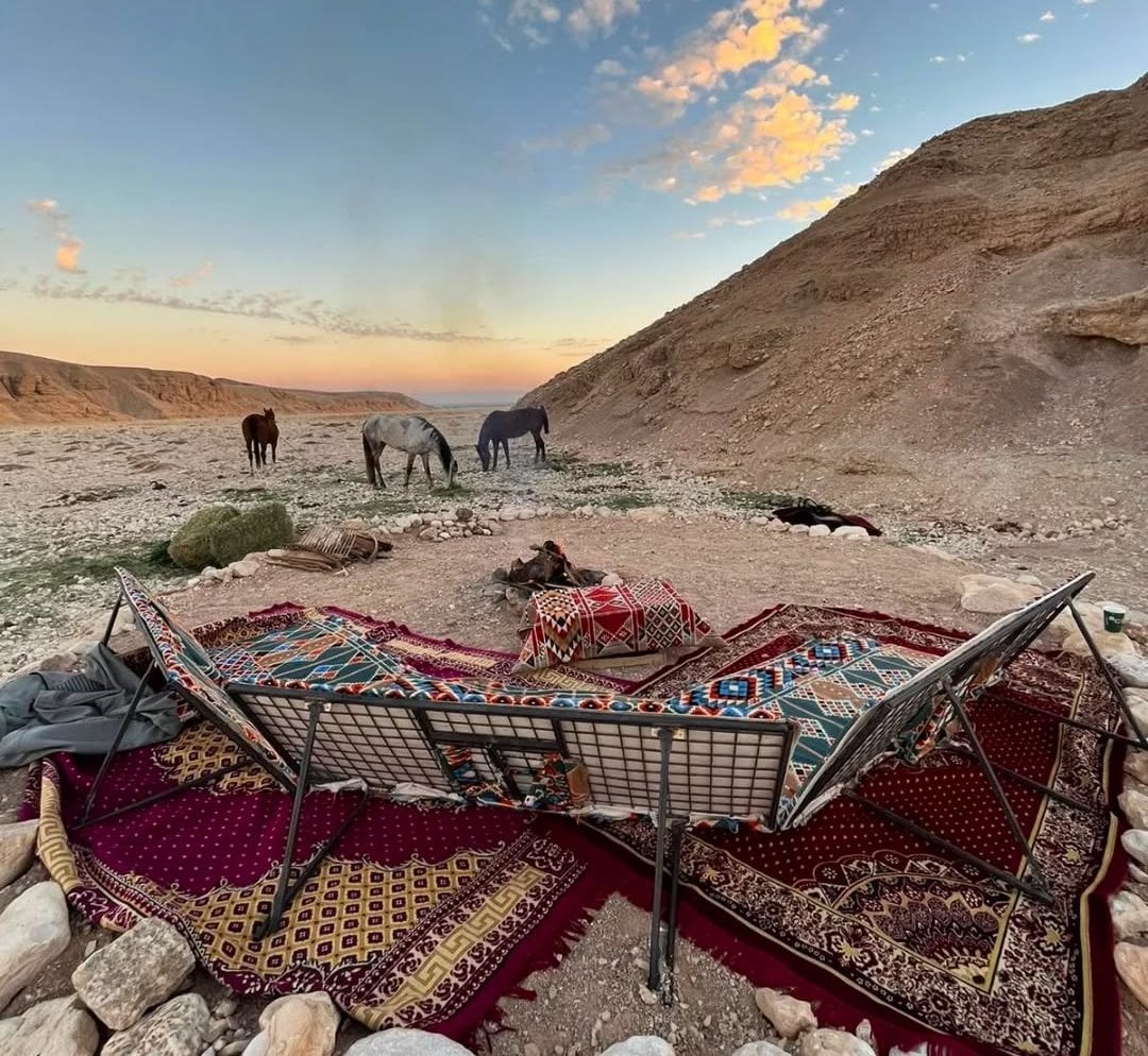 أجواء خيالية للسفارى فى البر الغربى بمحافظة الأقصر