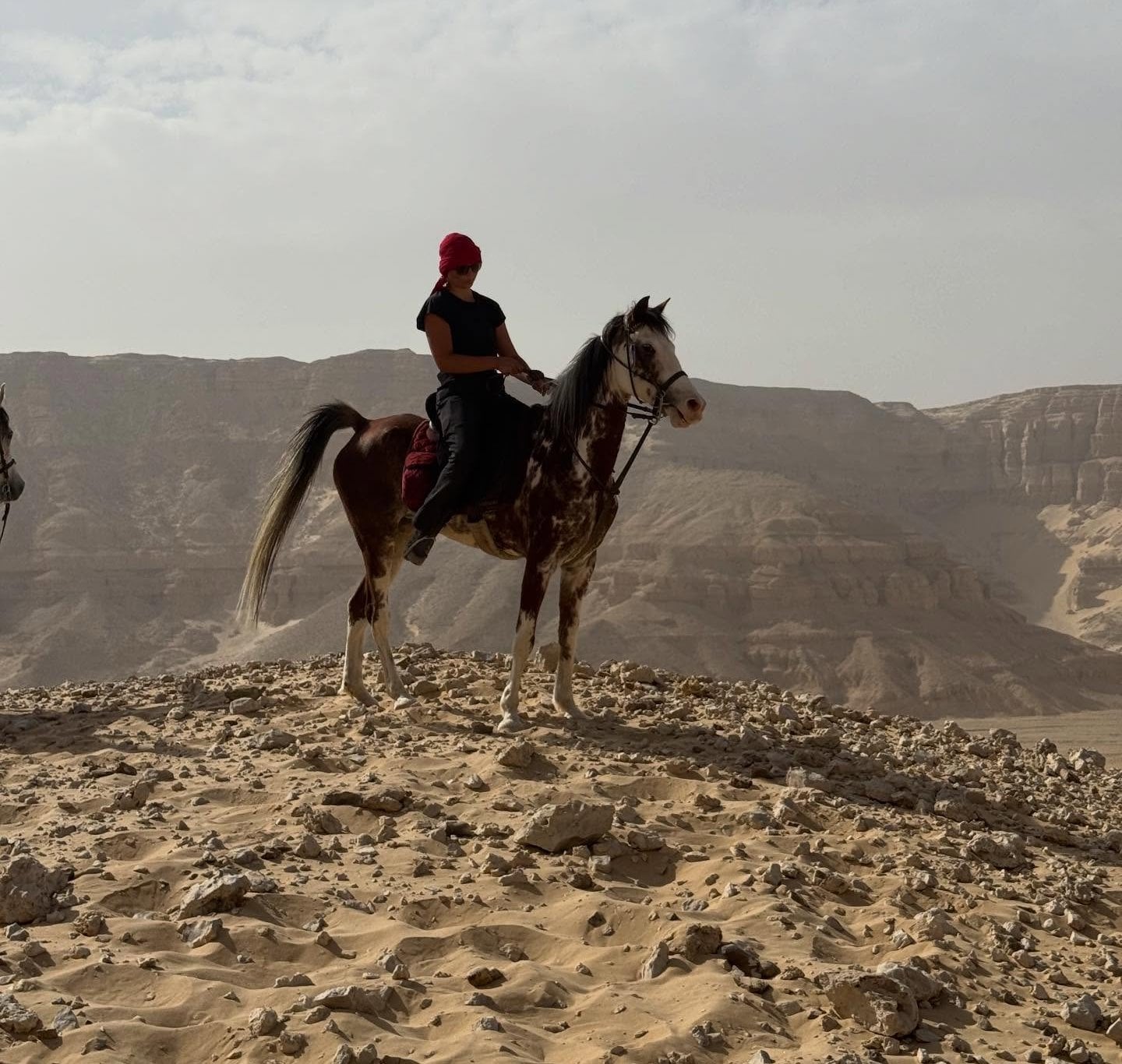 سفاري الخيول فى قلب صحراء غرب الأقصر