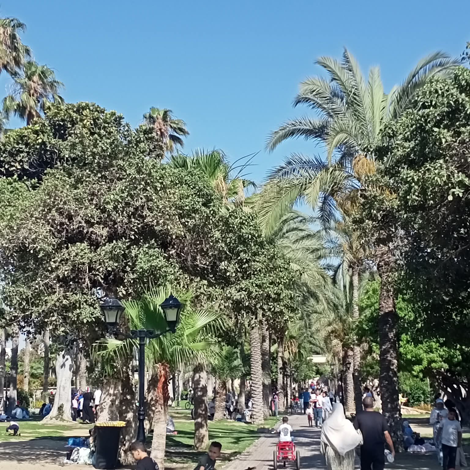 حديقة انطونيادس فى العيد.1