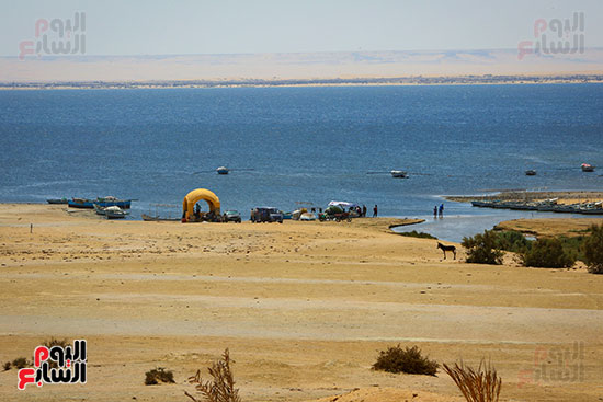 الطبيعة عشق ما ينتهي