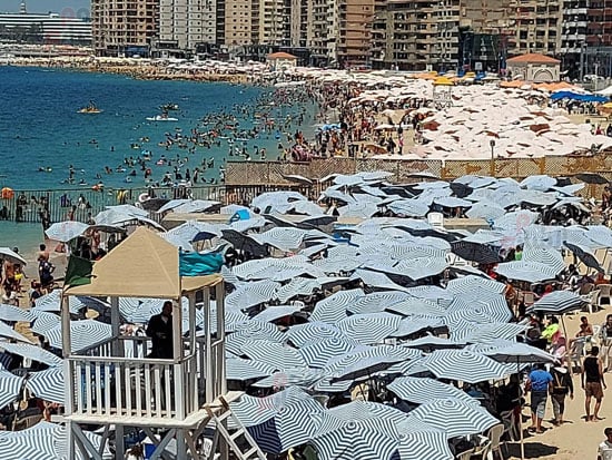 رايات-خضراء رايات-خضراء