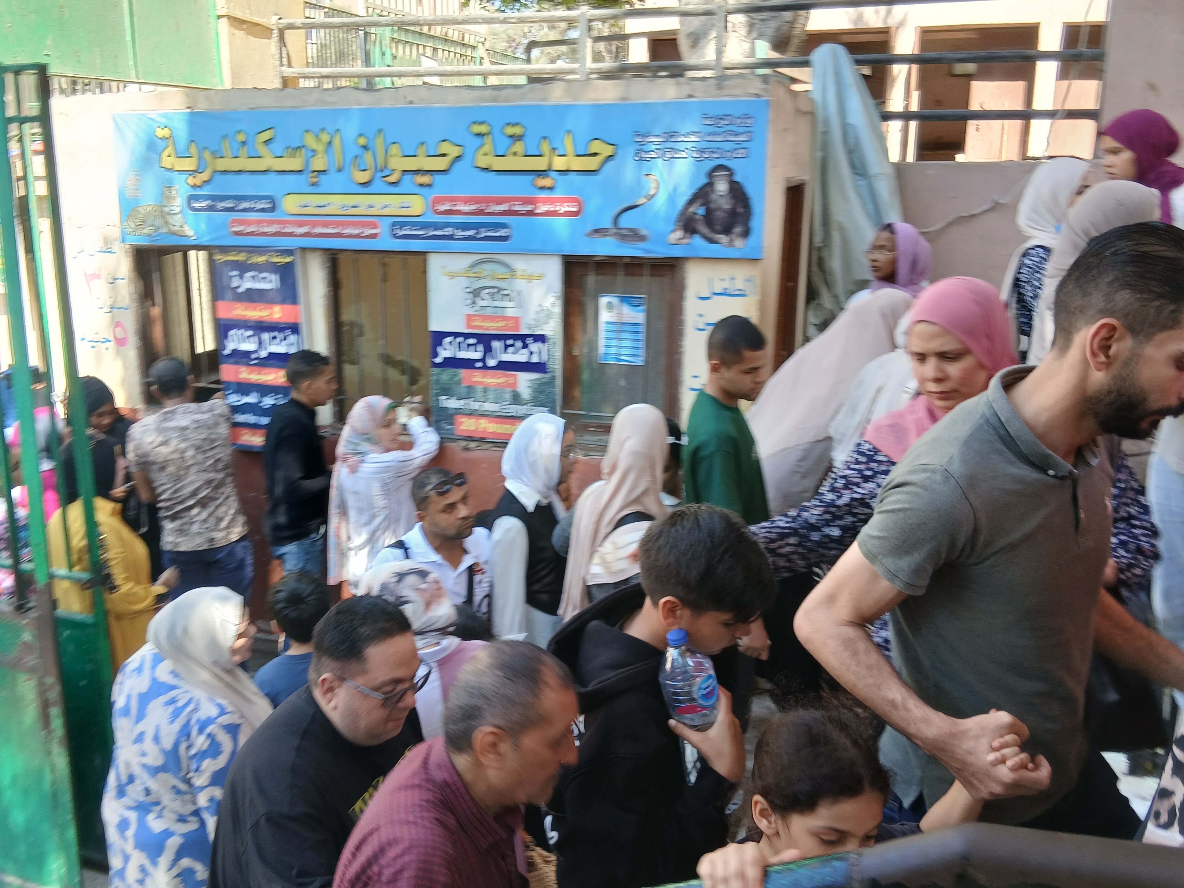 اقبال علي حديقة حيوان الإسكندرية اقبال علي حديقة حيوان الإسكندرية