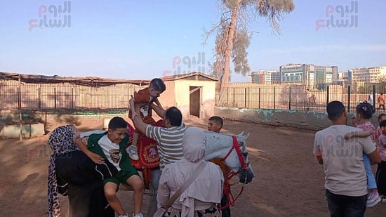 الأطفال-يمتطون-الخيل الأطفال-يمتطون-الخيل